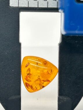 Genuine Baltic Amber Loose Stone